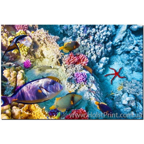 Фотокартины, Морской пейзаж, ART: MOP788045, , 168.00 грн., MOP788045, , Морской пейзаж (Фотокартины)